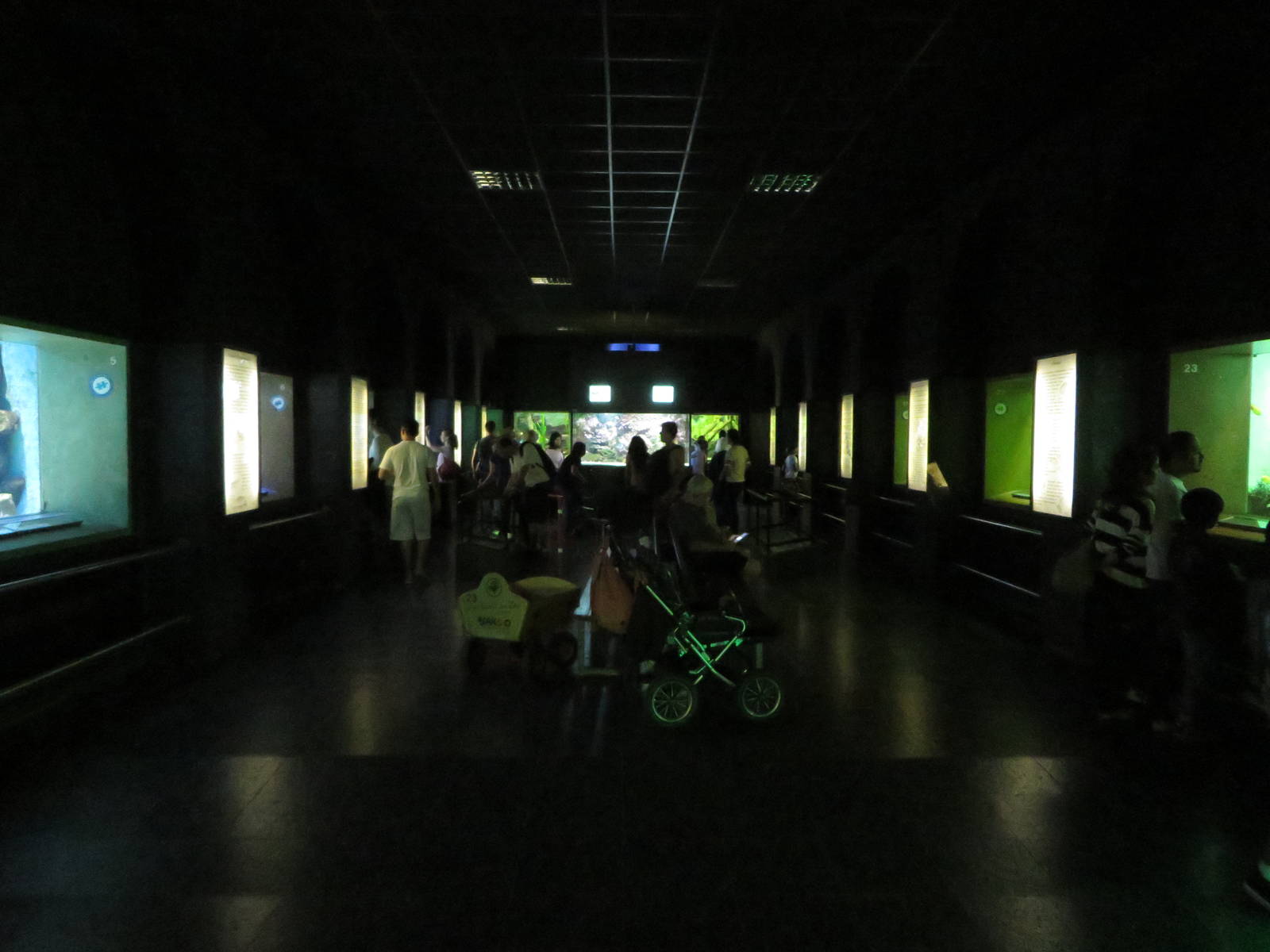 Exotarium - aquariums