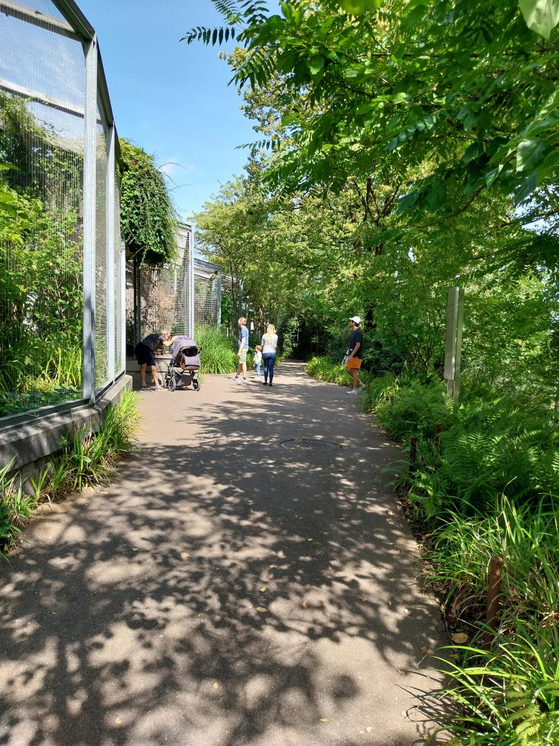 Exotarium - Aviaries towards the first floor