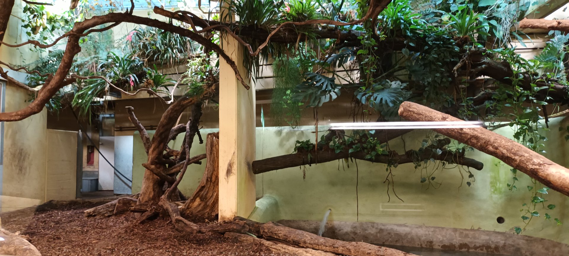 Exotarium Capybara indoor Enclosure
