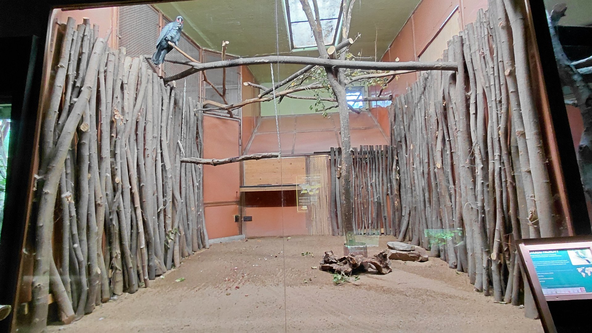 Exotarium - Cockatoo indoor exhibit