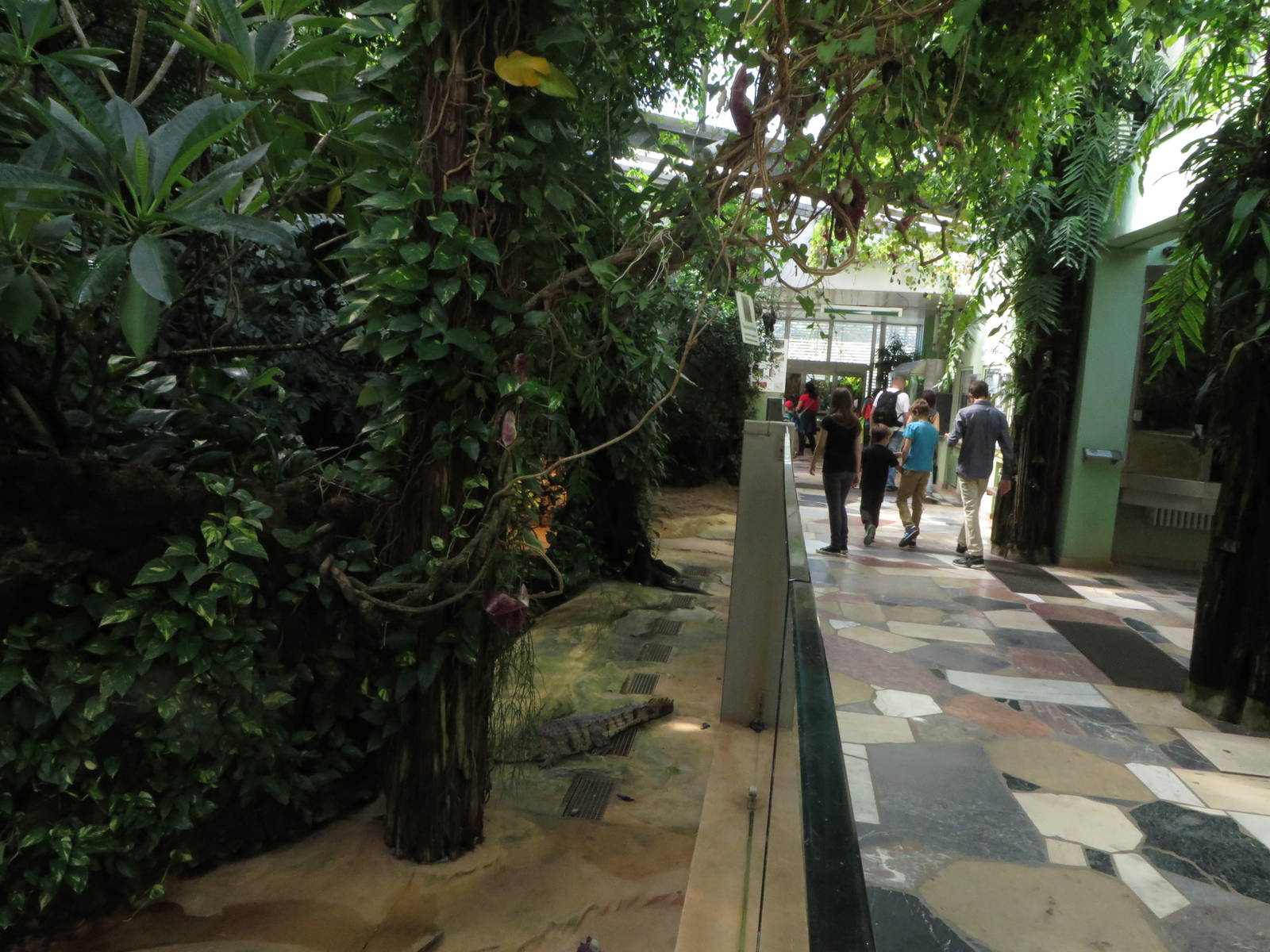 Exotarium - Crocodiles