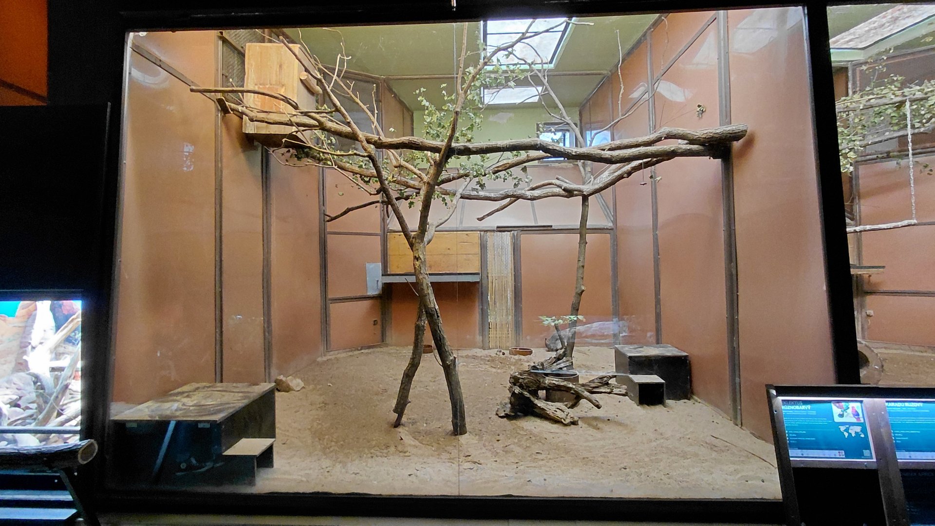 Exotarium - eclectus indoor exhibit