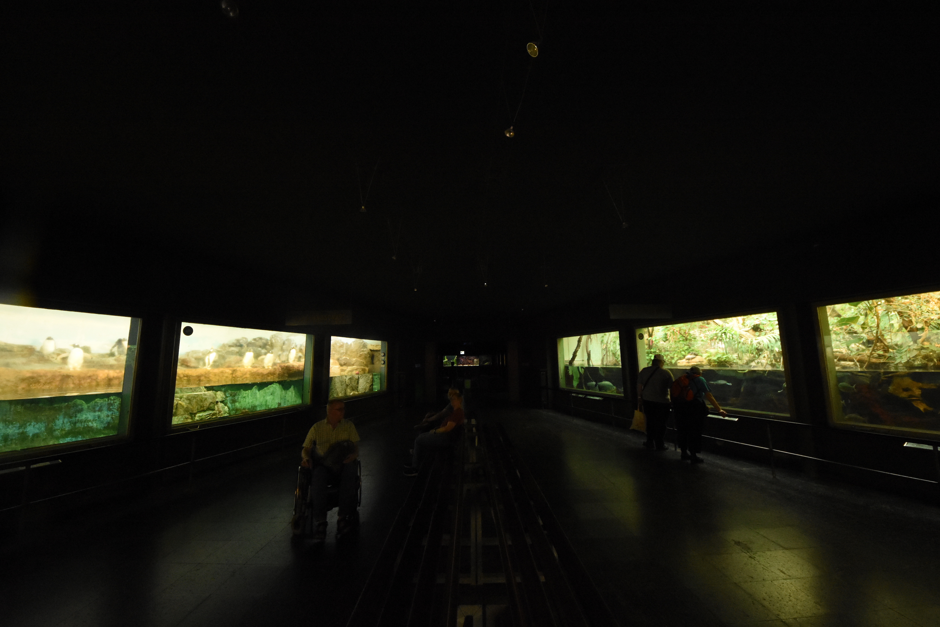 Exotarium - Entrance hall