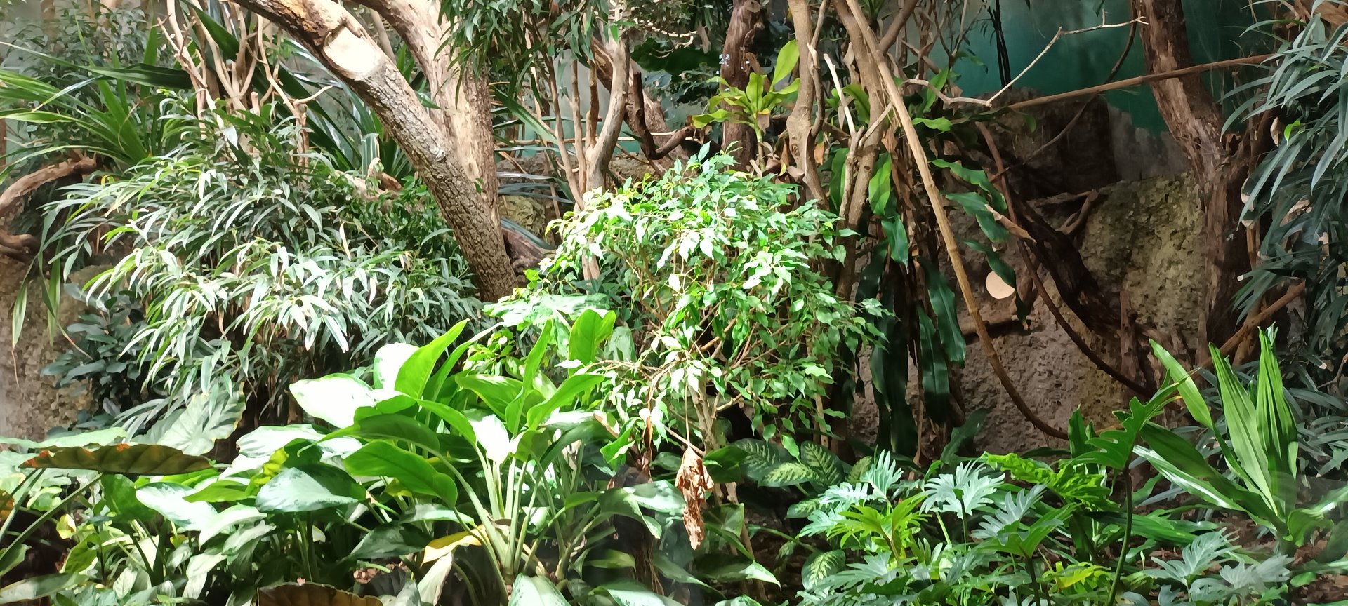 Exotarium Example of Bird/small Mammal Enclosure