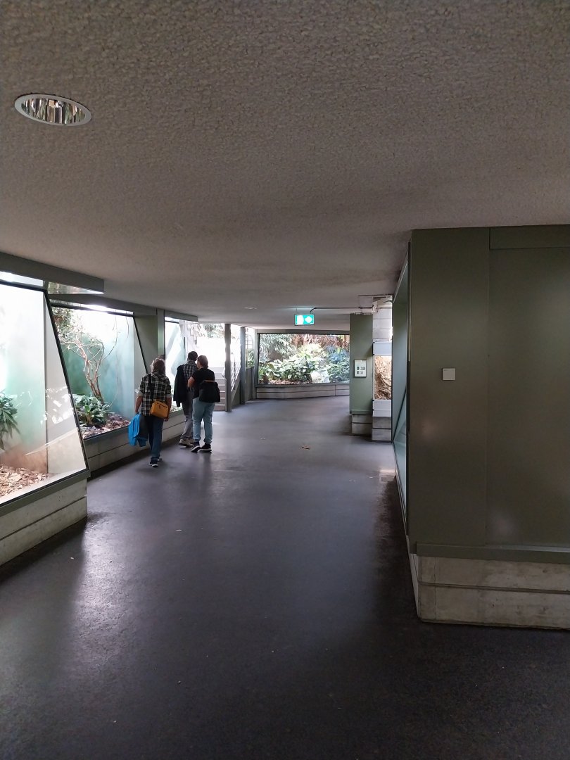 Exotarium - First floor - General view