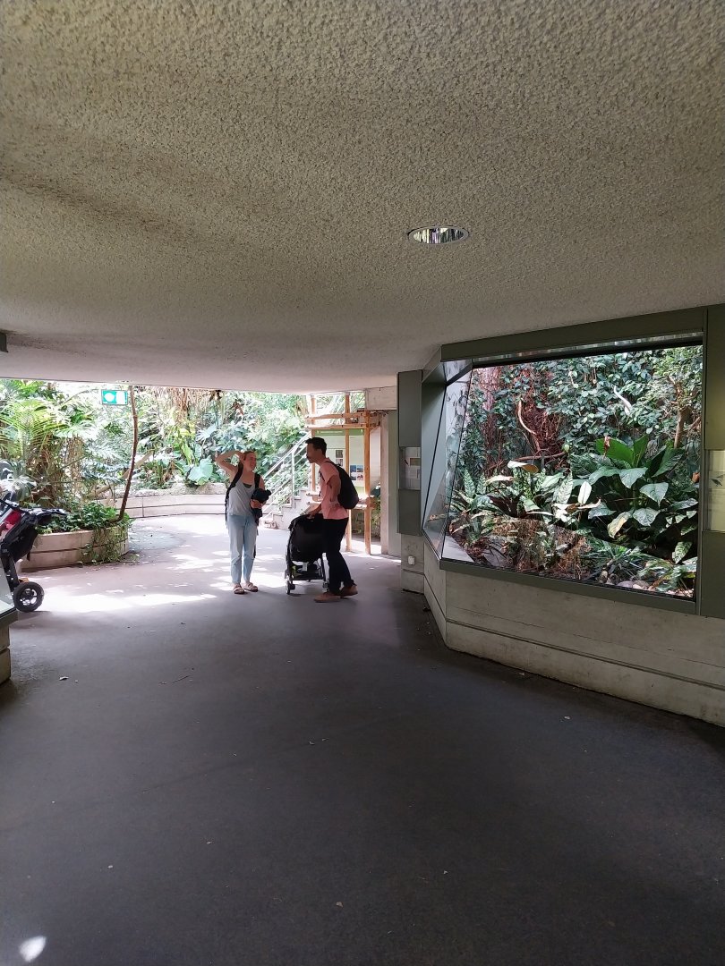 Exotarium - First floor - General view