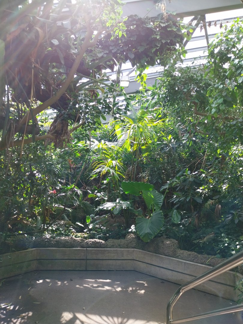 Exotarium - First floor - South American rainforest