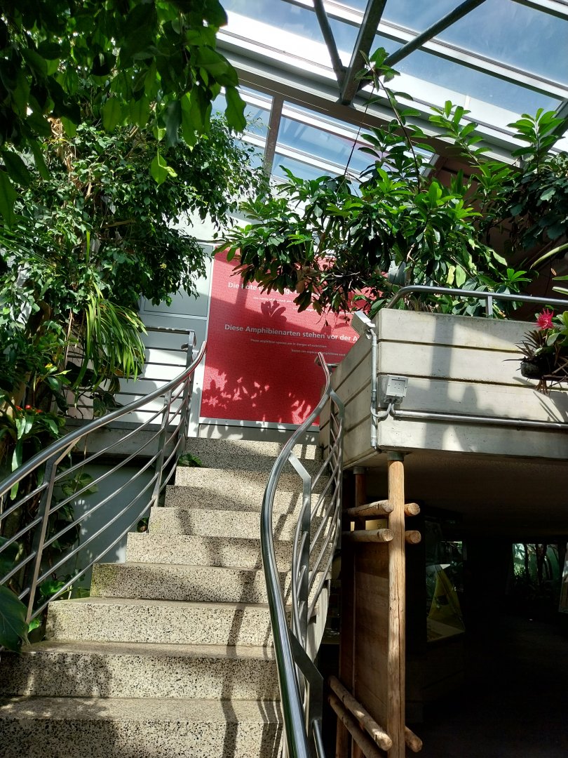 Exotarium - First floor - South American rainforest