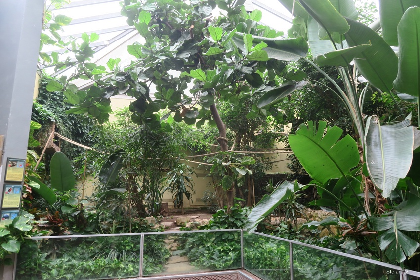 Exotarium - free flight hall