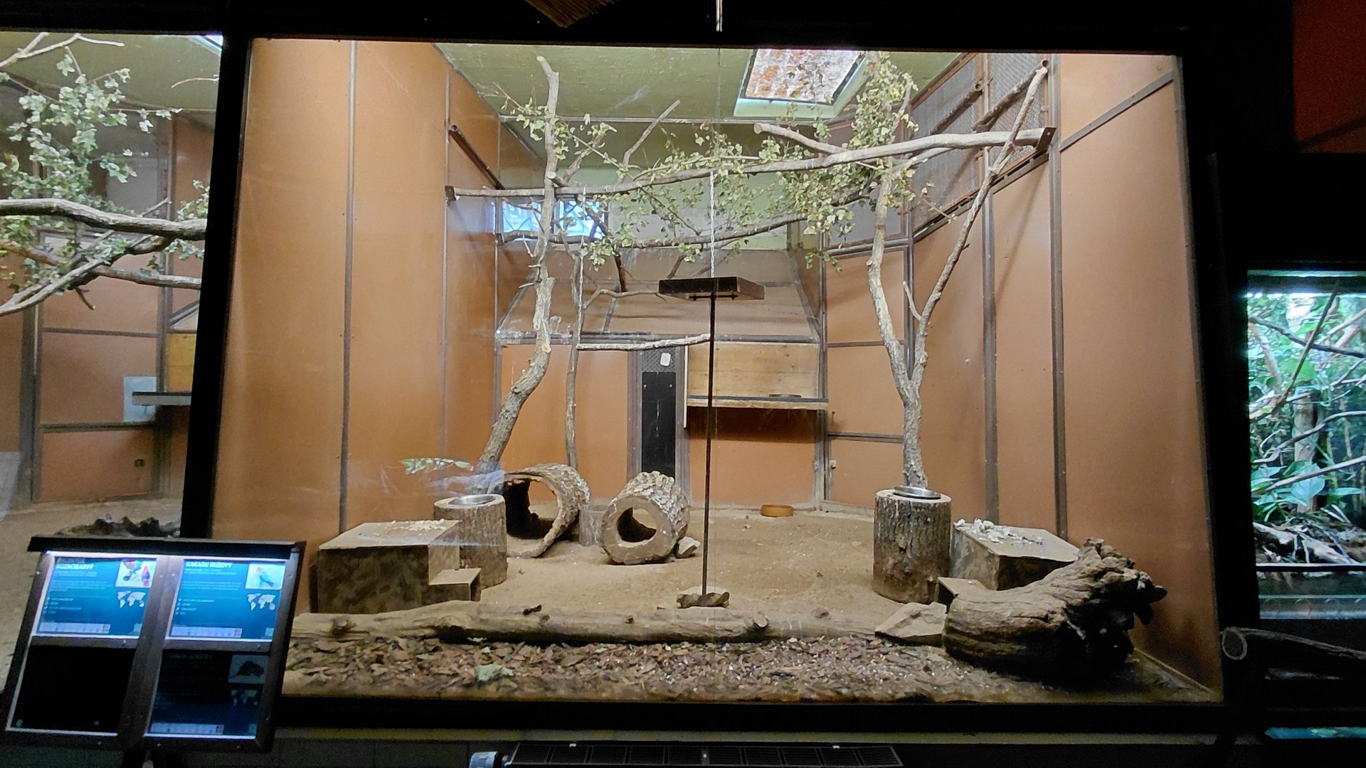 Exotarium - galah+porcupine indoor exhibit