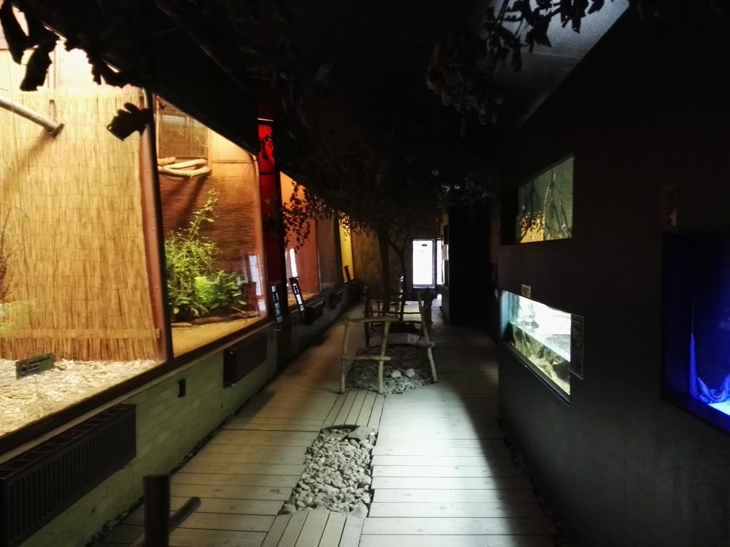 Exotarium - general view