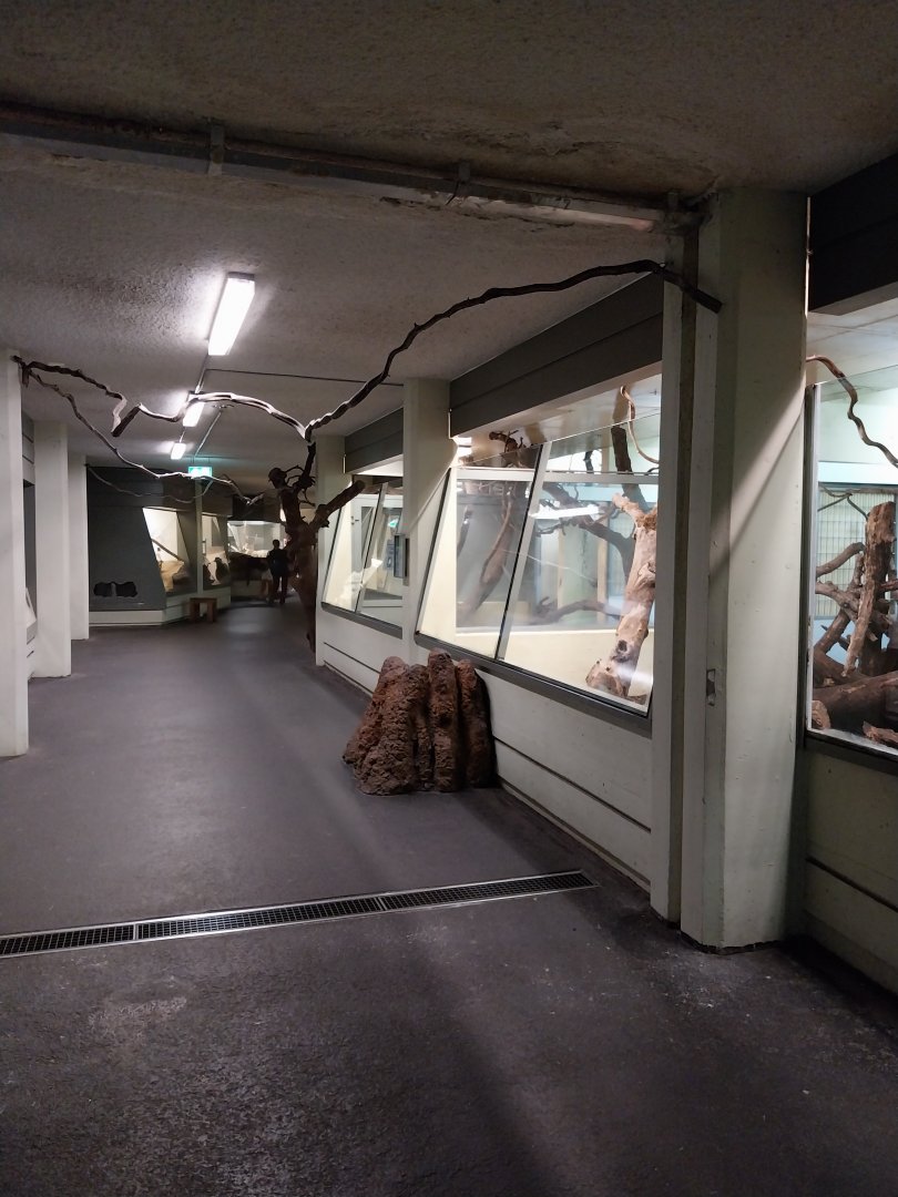 Exotarium - Ground floor - Towards the Pantanal exhibit