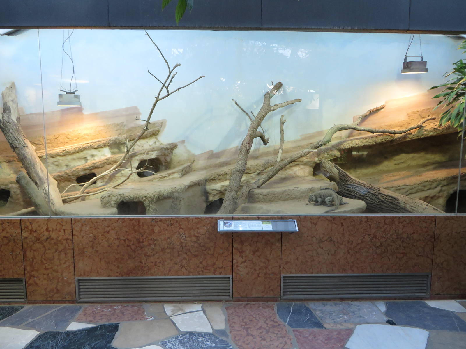 Exotarium - iguana terrarium