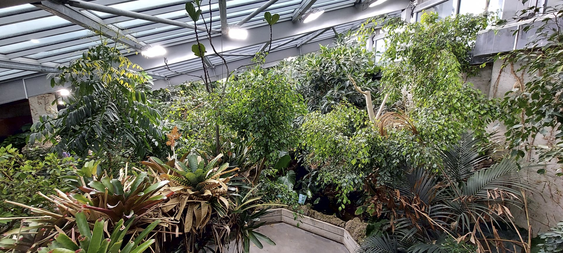 exotarium - indoor flight hall