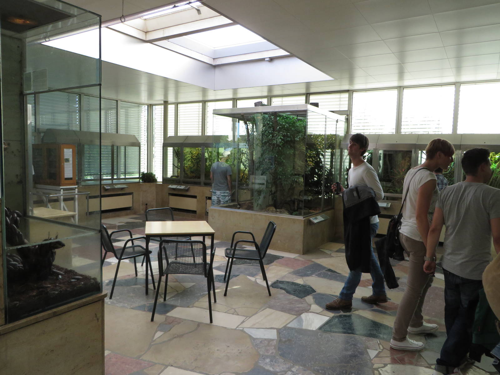 Exotarium - insectarium