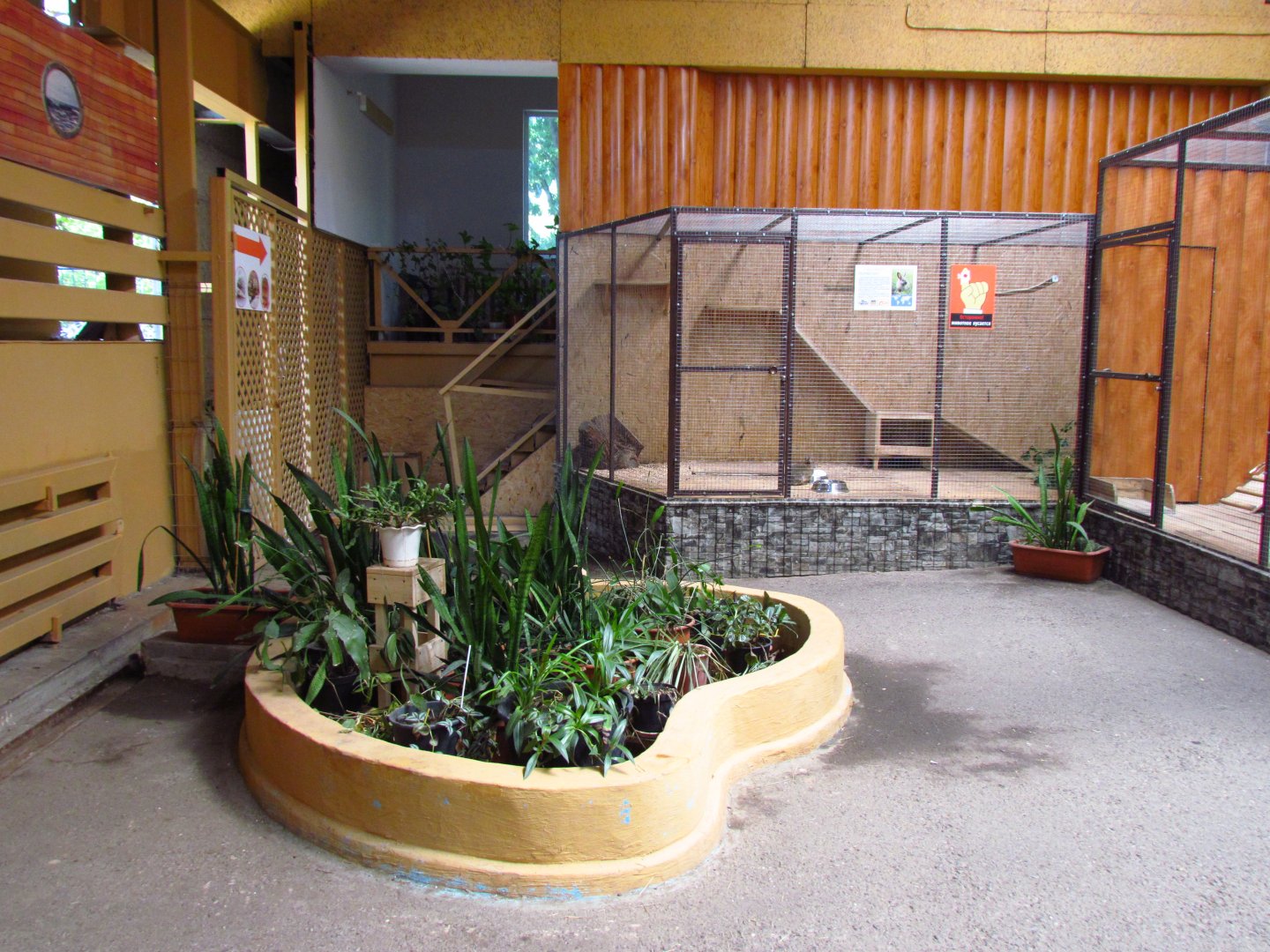 Exotarium interior, domestic rabbit exhibit
