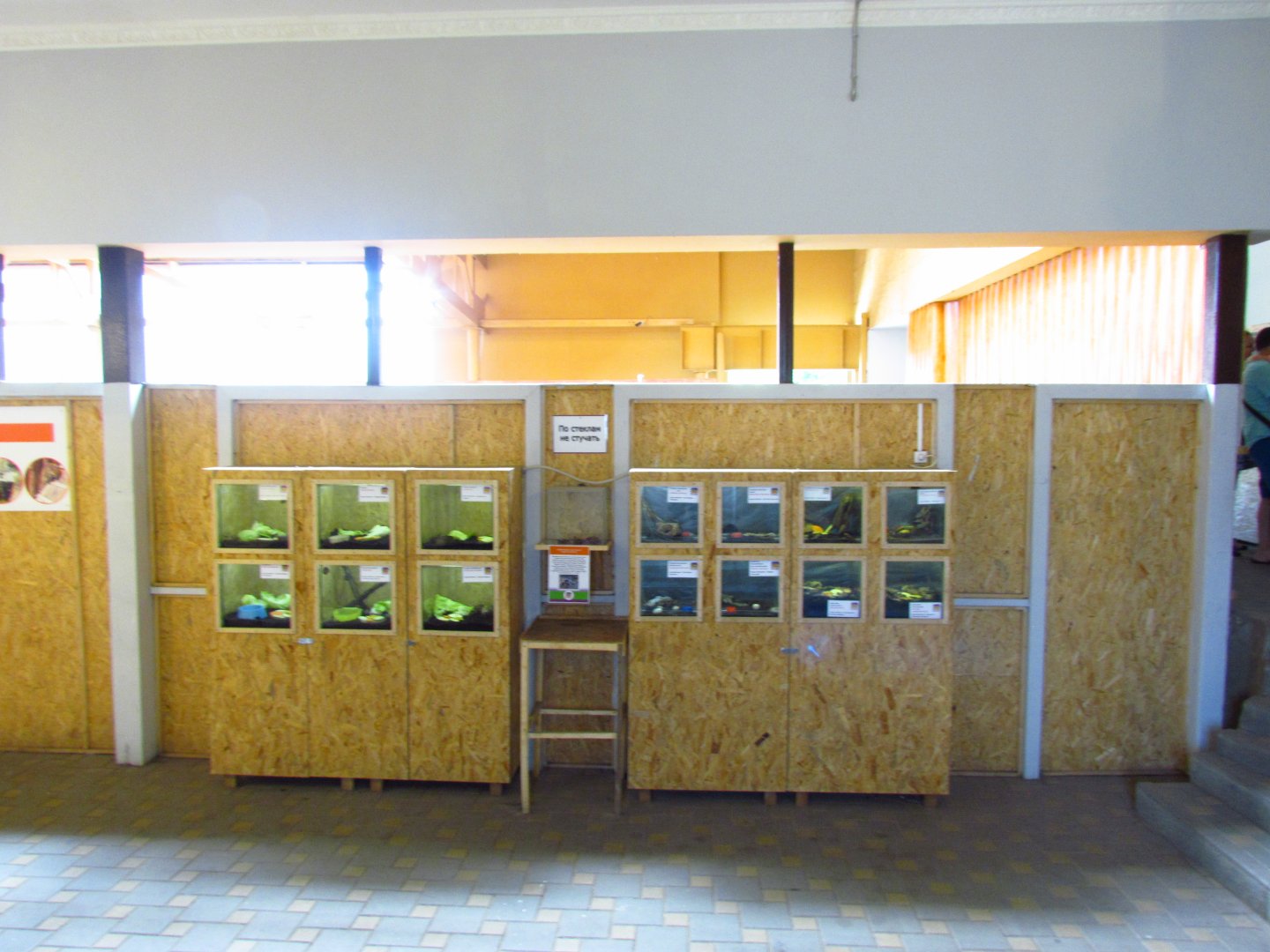 Exotarium - invertebrate exhibits