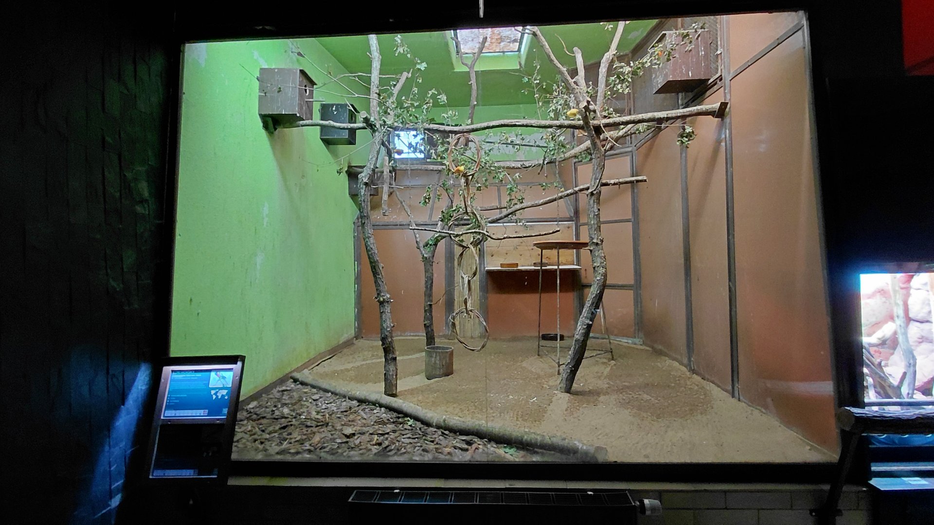 Exotarium - lorikeet+honeyeater indoor exhibit