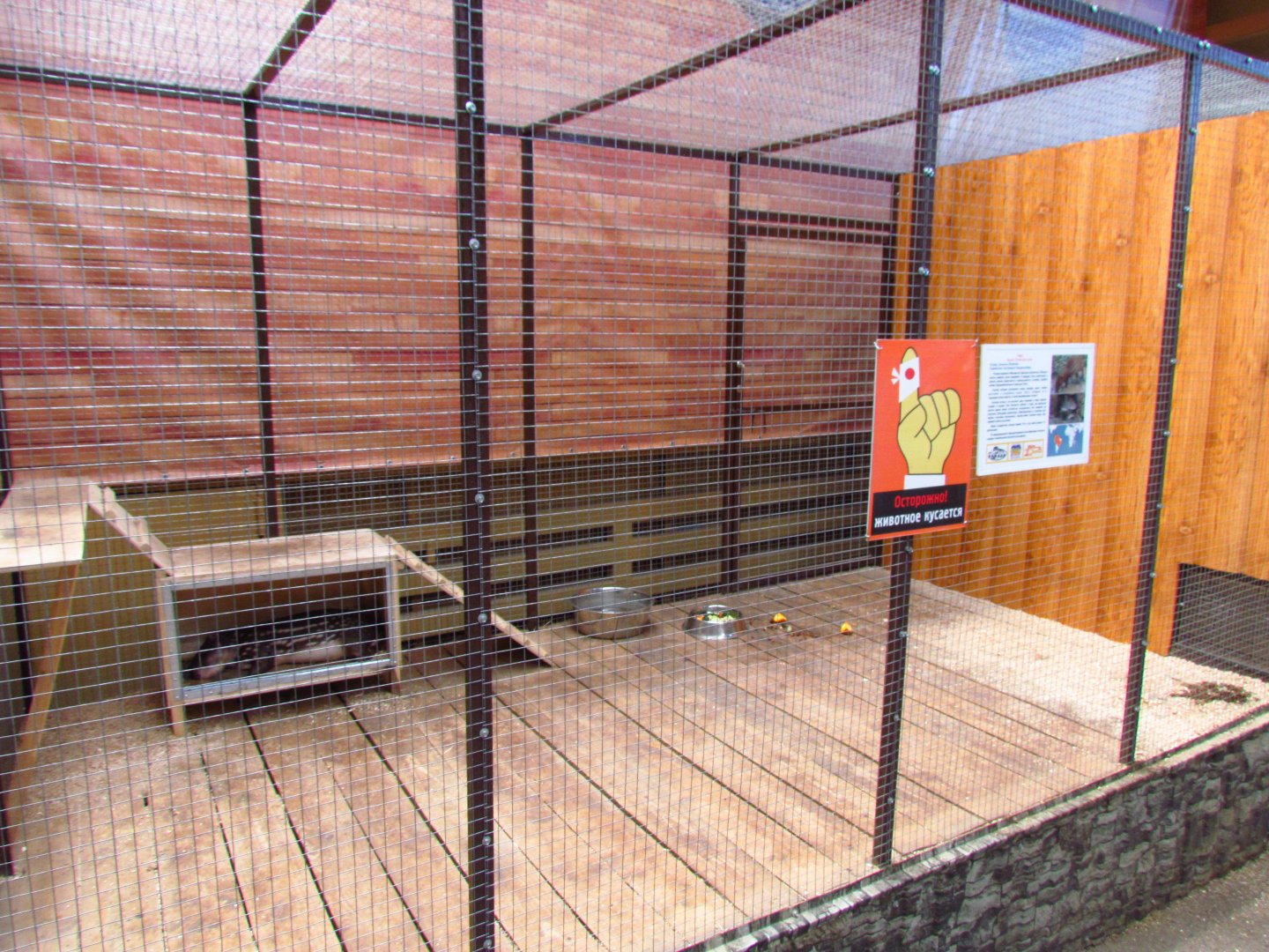 Exotarium, lowland paca exhibit