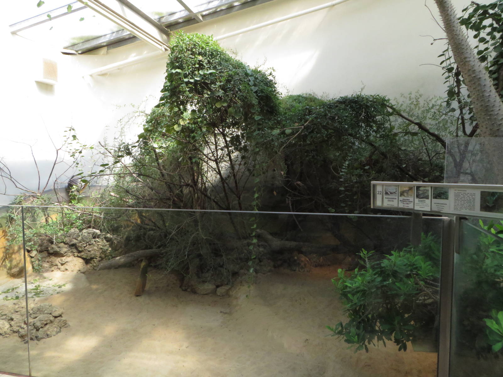 Exotarium - Madagascar