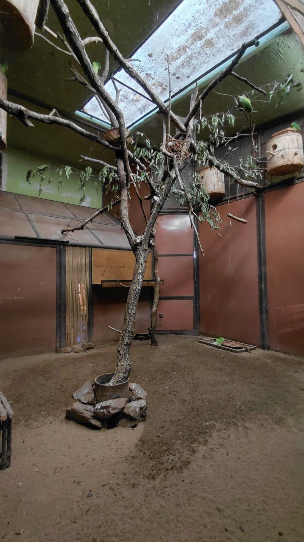Exotarium - parrot+dove indoor exhibit