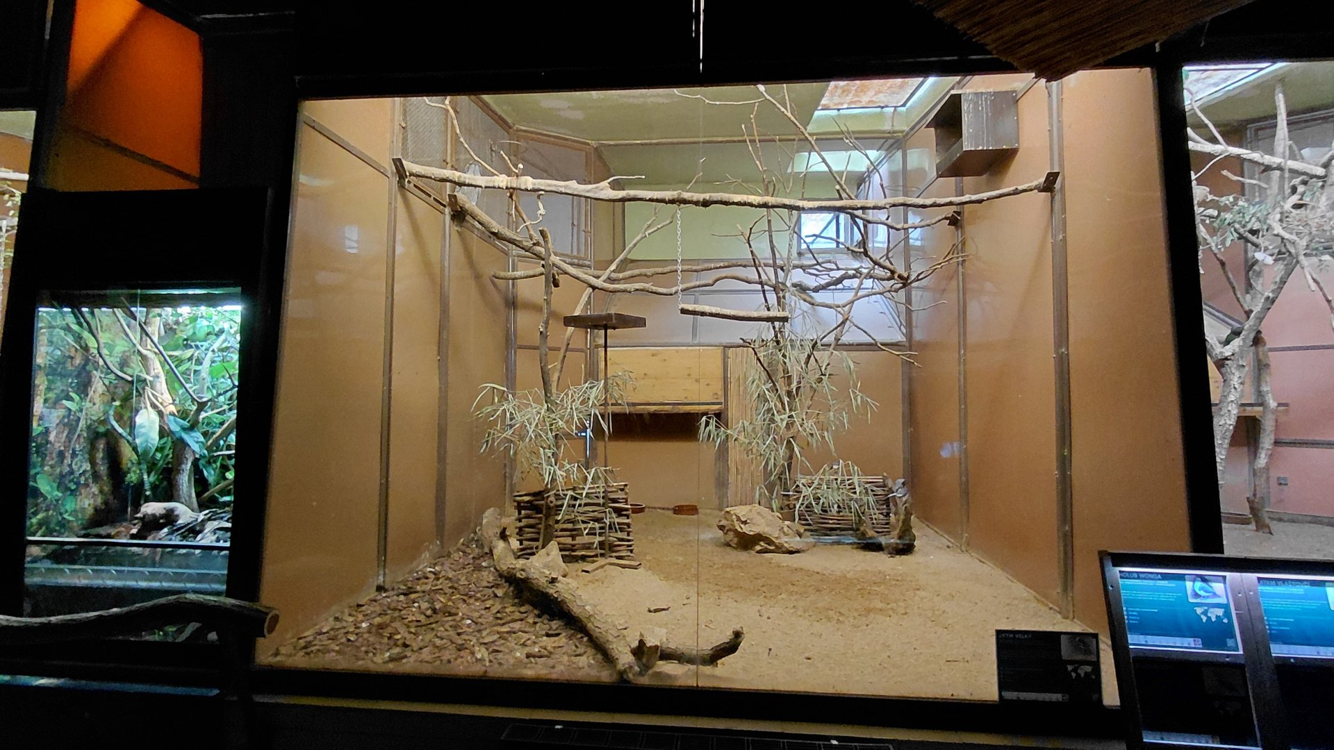 Exotarium - pigeon+frogmouth indoor exhibit