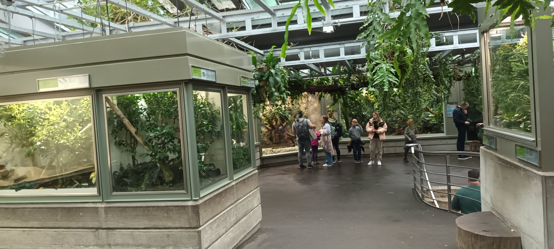 Exotarium Reptile Section general View