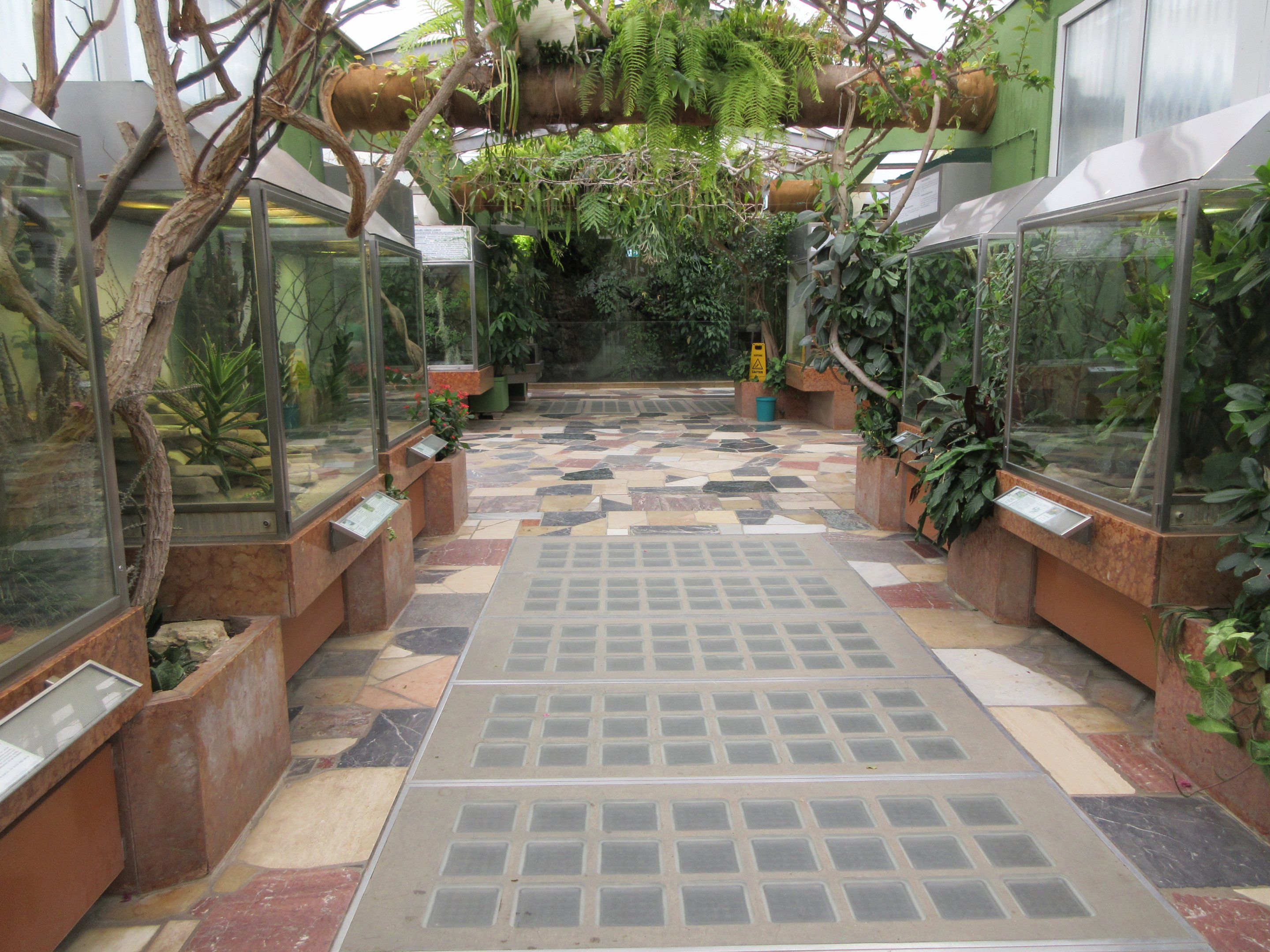 Exotarium (reptile section on top level)