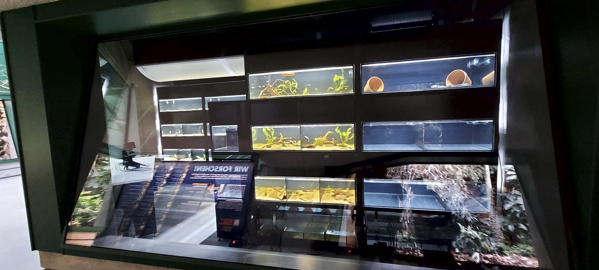Exotarium - research station on breeding critically endangered Madagascan fishes