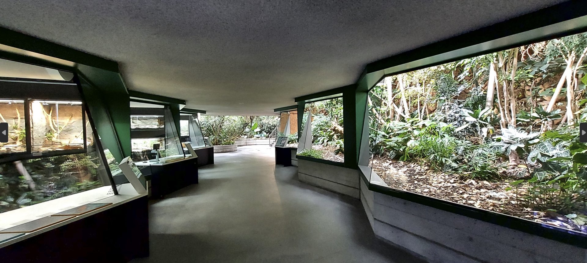 Exotarium - research stations vis-a-vis indoor holdings of Pantanal callitrichids