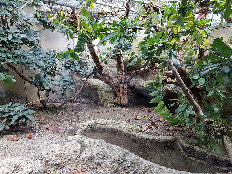 Exotarium:  Reticulate python