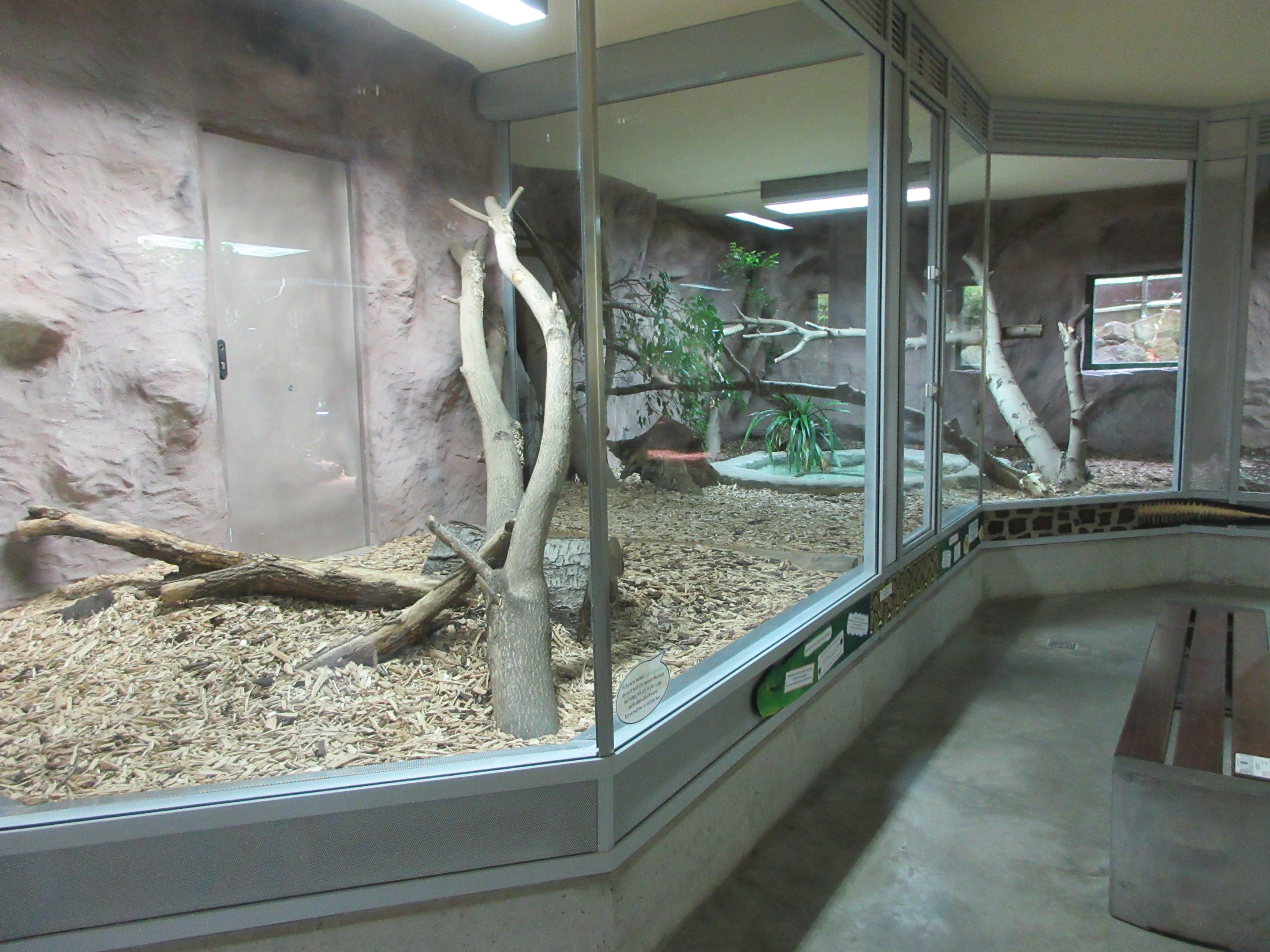 Exotarium - Reticulated Python Exhibit
