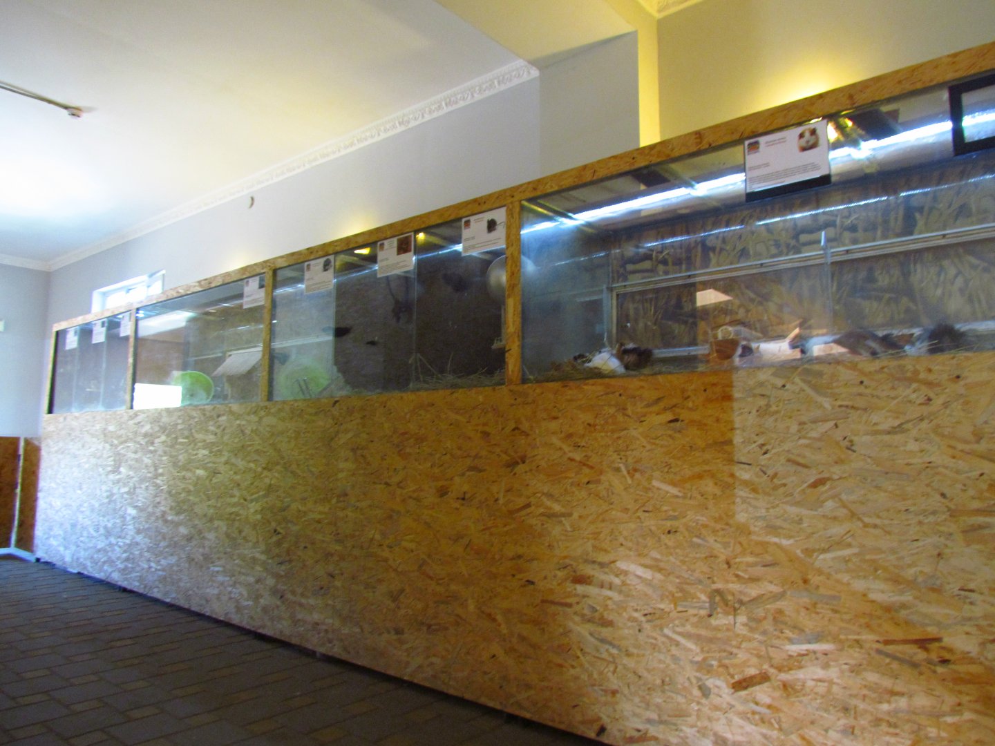 Exotarium - small mammal exhibits