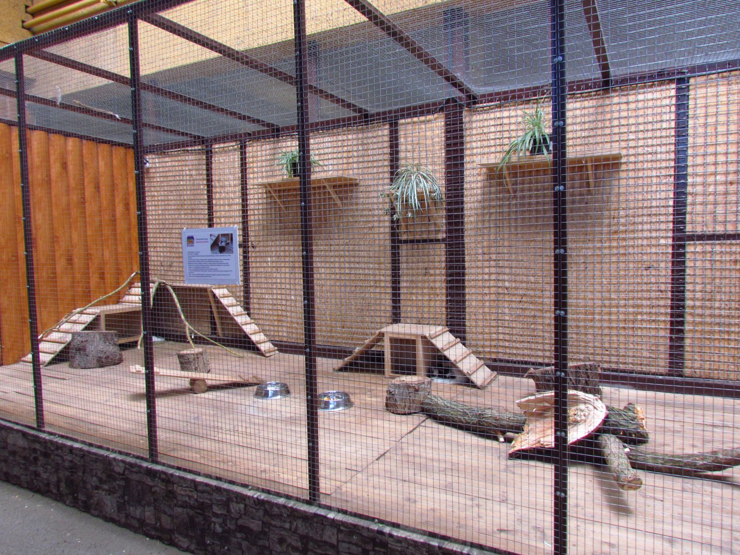 Exotarium, striped skunk exhibit