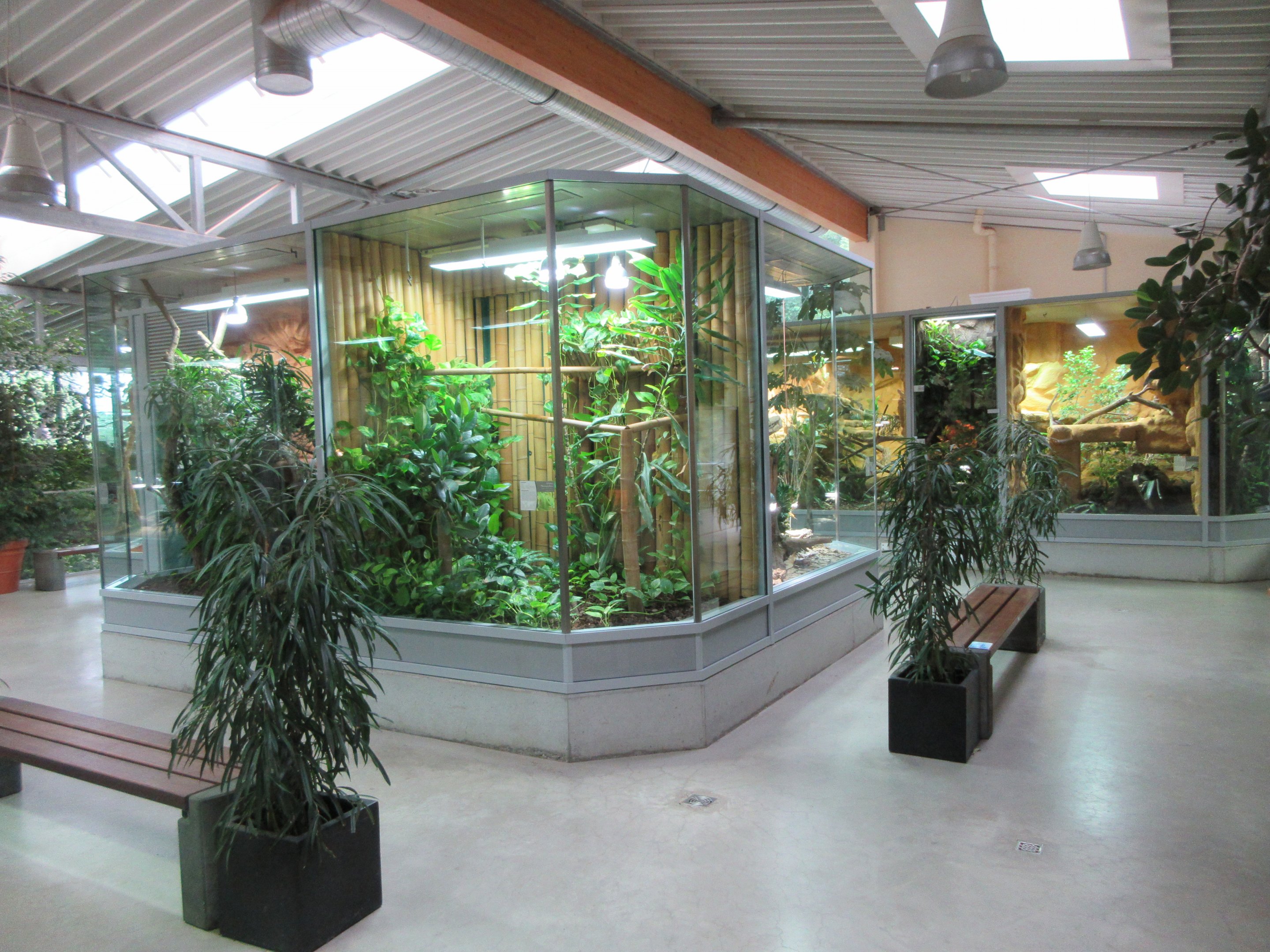 Exotarium - superb reptile terrariums