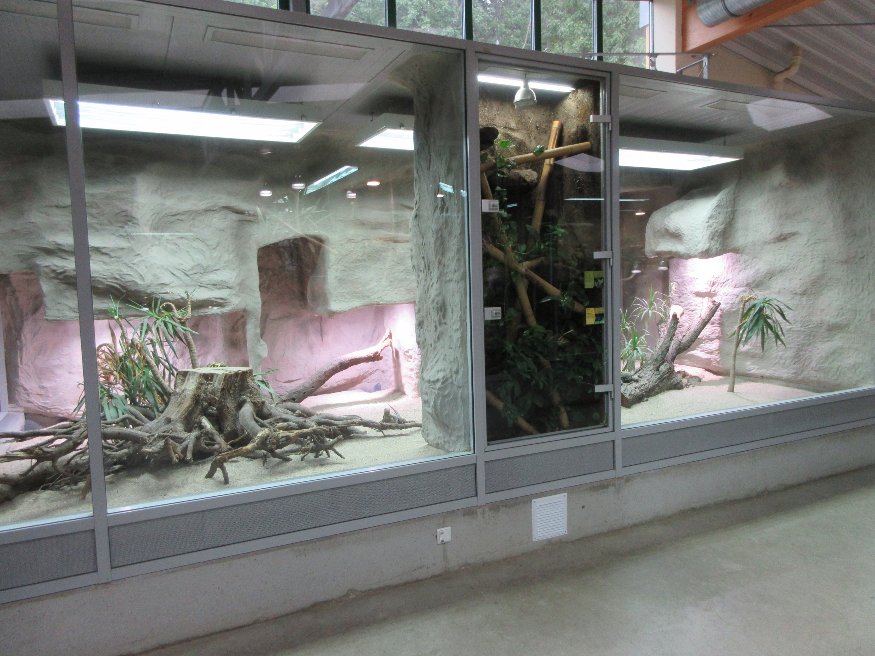 Exotarium - superb reptile terrariums