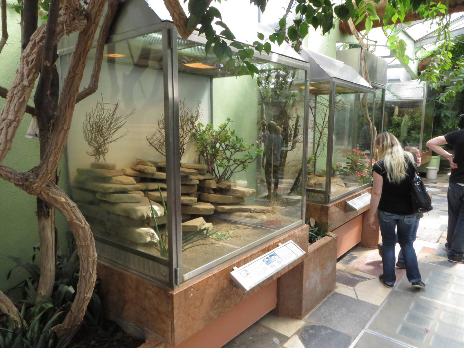 Exotarium - Terraria