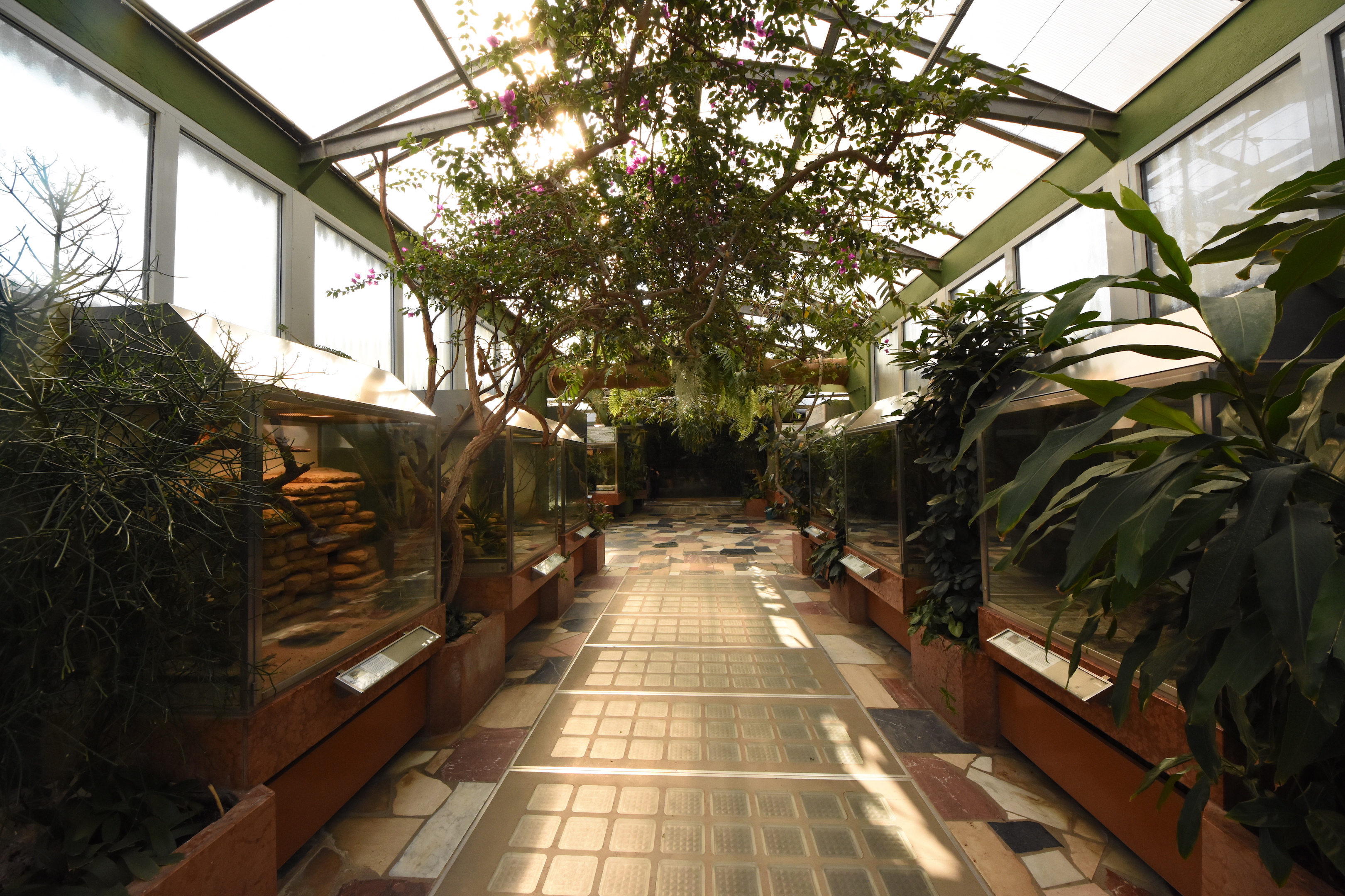 Exotarium - Terraria