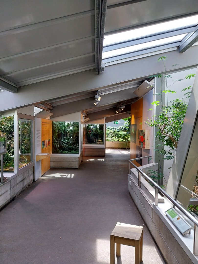 Exotarium - Top floor - Amphibians section