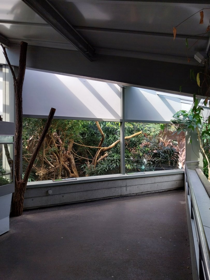 Exotarium - Top floor - Canopy view