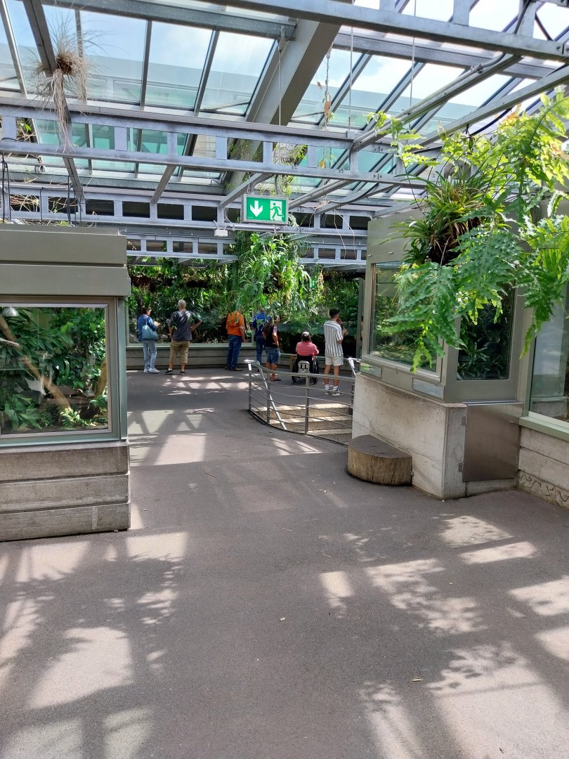 Exotarium - Top floor - Reptile section