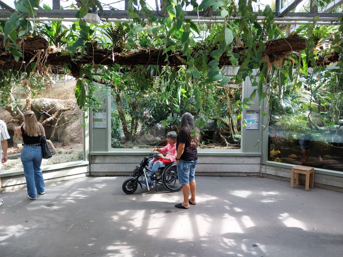 Exotarium - Top floor - Reptile section