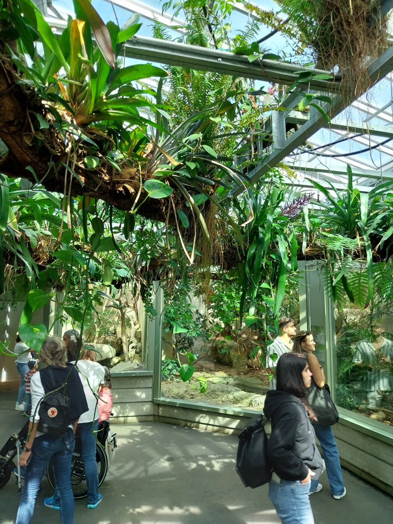 Exotarium - Top floor - Reptile section