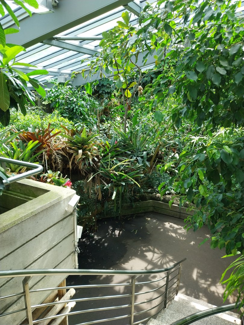 Exotarium - Top floor - South American rainforest