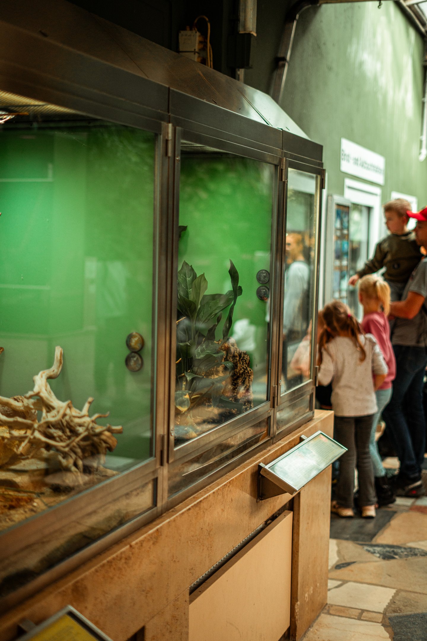 Exotarium upper floor