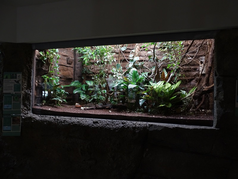 Exotenhaus: Crake and hanging parrot enclosure.