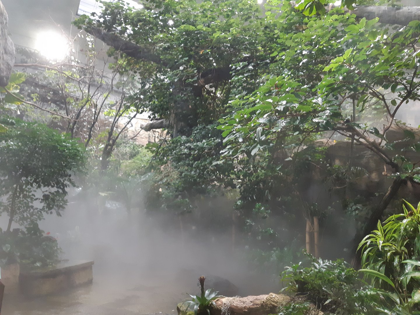 Exotenhaus - general view