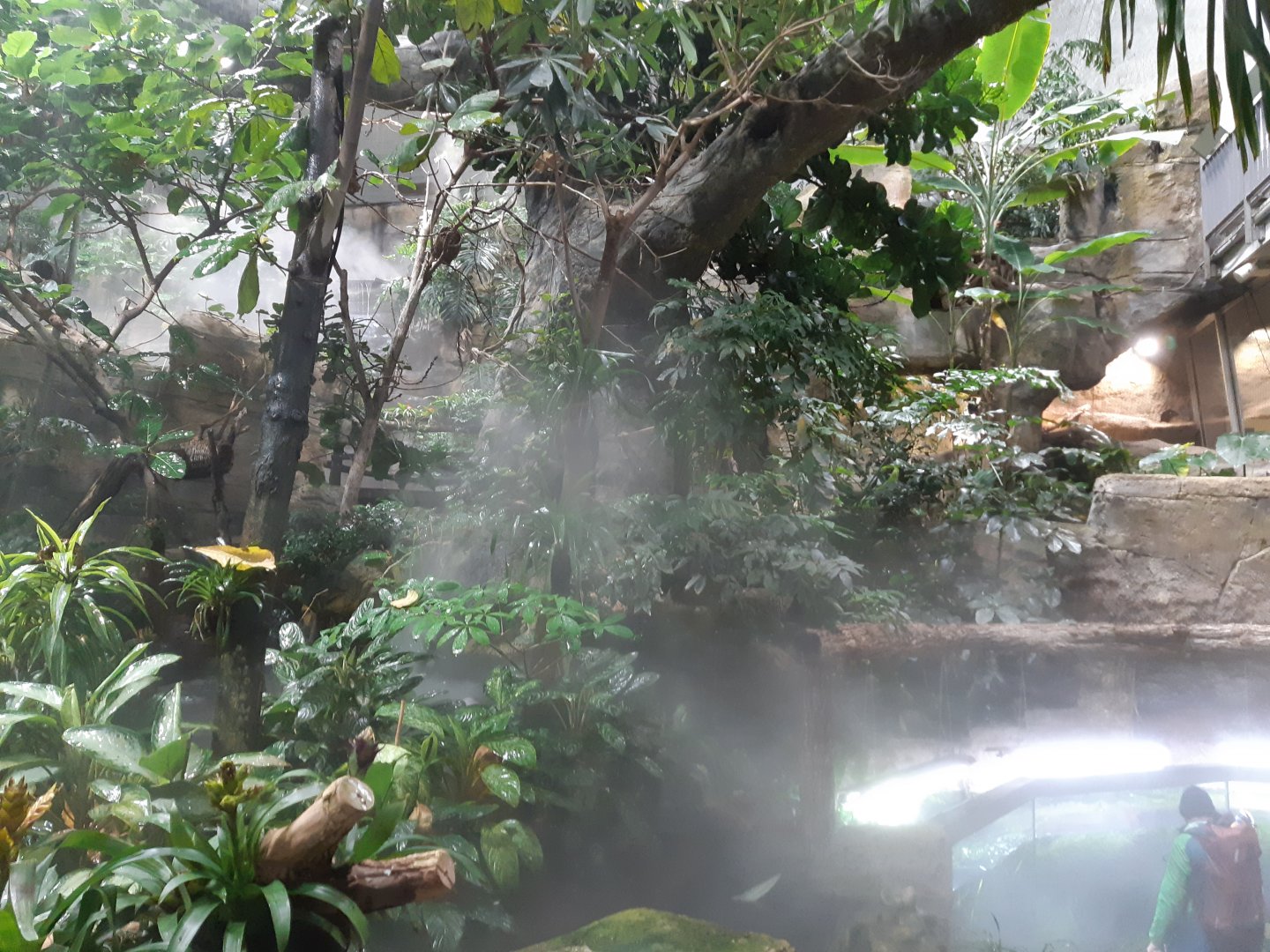 Exotenhaus - general view