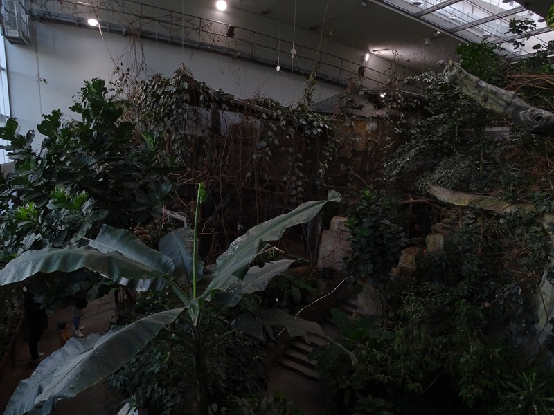 Exotenhaus main hall