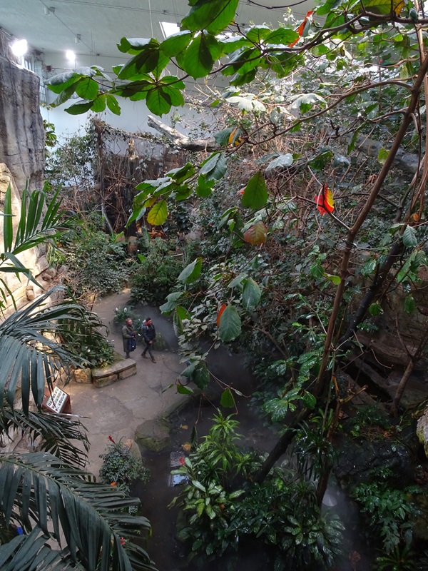 Exotenhaus main hall